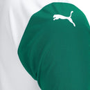 Nova Segunda Camisa Palmeiras Puma 2025-26 [FRETE GRÁTIS]