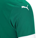 Nova Camisa Principal Palmeiras Puma 2025-26 [FRETE GRÁTIS]