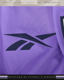 Nova Camisa Treino Botafogo Reebok 2025/26 - Roxa [FRETE GRÁTIS]