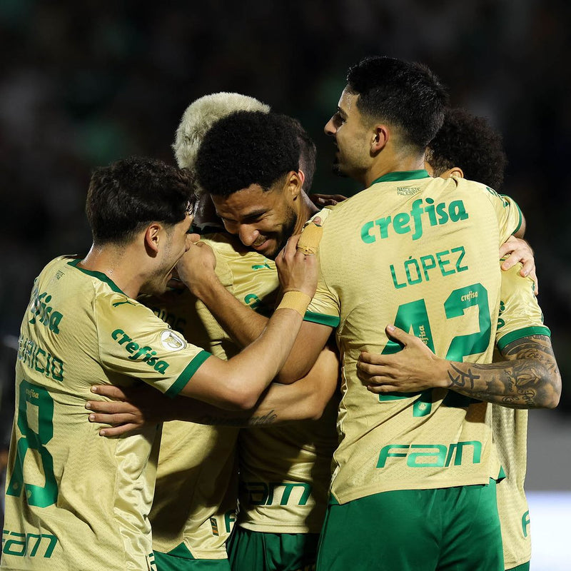 Nova Terceira Camisa Puma Palmeiras 2024/25 -  [CONCORRA À UM INGRESSO]