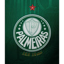 Novas Camisas Palmeiras Puma 2024/25 [FRETE GRÁTIS]