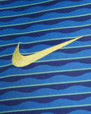 Nova Camisa Nike Seleção Brasileira 2024 [FRETE GRÁTIS]