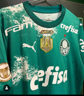 Nova Camisa do Palmeiras Edição Especial  - 2024  ForeverBetter [FRETE GRÁTIS]