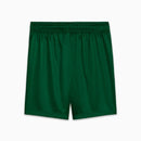 Nova Short Principal Palmeiras Puma 2025-26 [FRETE GRÁTIS]