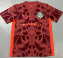 Nova Camisa Goleiro Palmeiras Puma 2025-26 [FRETE GRÁTIS]