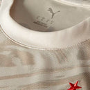 Nova Camisa Goleiro Palmeiras Puma 2026-27 [FRETE GRÁTIS]