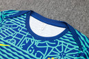 Nova Camisa Seleção Brasileira Treino Nike [FRETE GRÁTIS]